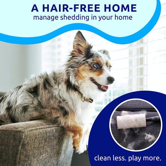 Professional Grooming Brush For Dogs & Cats