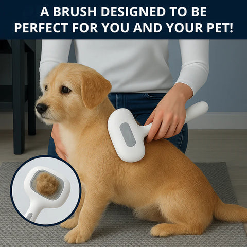 Trendy Treasure™ Self-Cleaning Pet Grooming Brush for Dogs & Cats